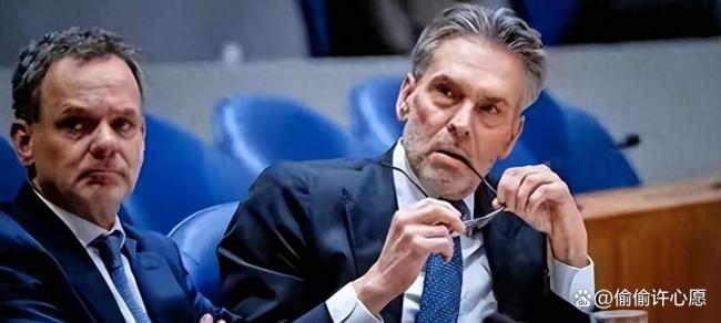 博主：荷兰抢安世只能抢到空壳 实际生产力在中国手中