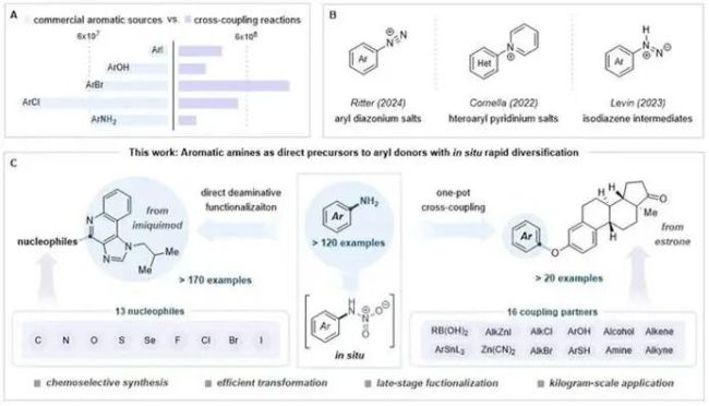 中国科学家破解140年难题 创新策略解决百年难题