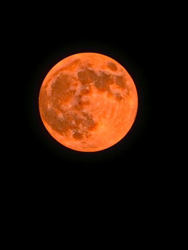 超级月亮惊艳大图 京城拍客捕捉壮观瞬间