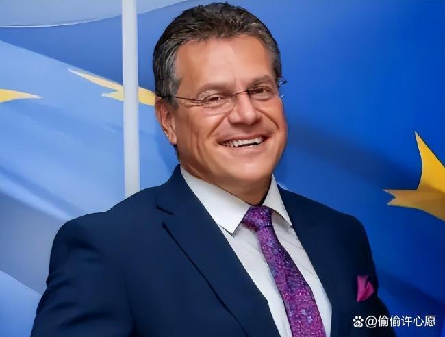 博主:荷兰抢安世只能抢到空壳 实际生产力在中国手中