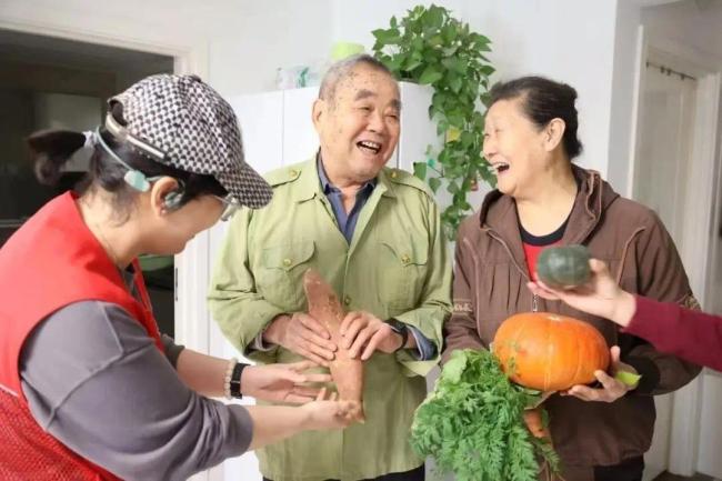 菜园里，“种”出新生活