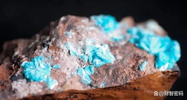 欧盟高官:向中方提交了2000份稀土肯求kaiyun.com,刚过了一半 审批弘扬缓缓激发宝贵