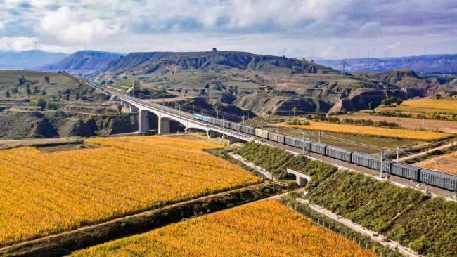 当列车遇上深秋,画面绝美!