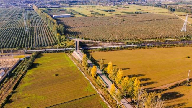 当列车遇上深秋,画面绝美!