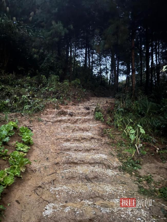 史上最寒酸动物园土路正硬化铺砖 质朴坚守感动人心
