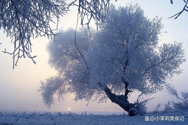 今年立冬3个特点，牢记：做2事吃3样 迎接冬季好彩头