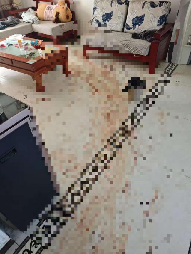 女子出租屋遭男友杀害弟弟发声 案件即将开庭审理