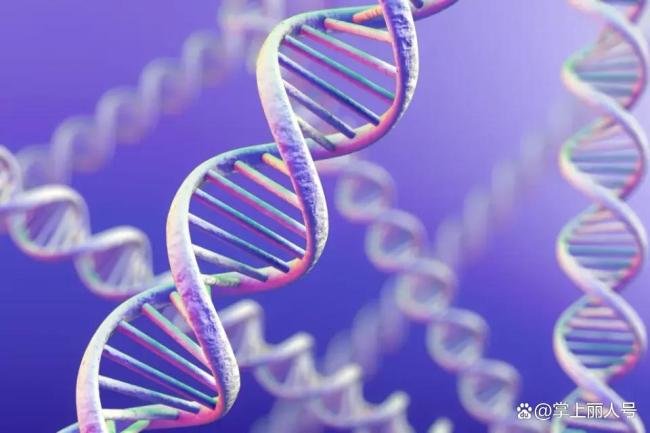 “DNA之父”詹姆斯·沃森的争议一生 科学与偏见交织