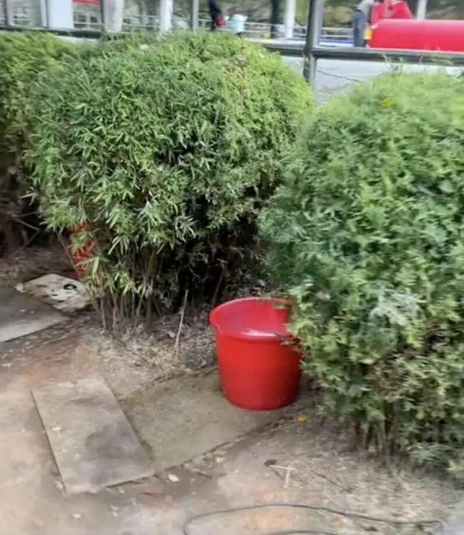 公园打牌老人摆尿桶距公厕不足100米 市民不满随地便溺