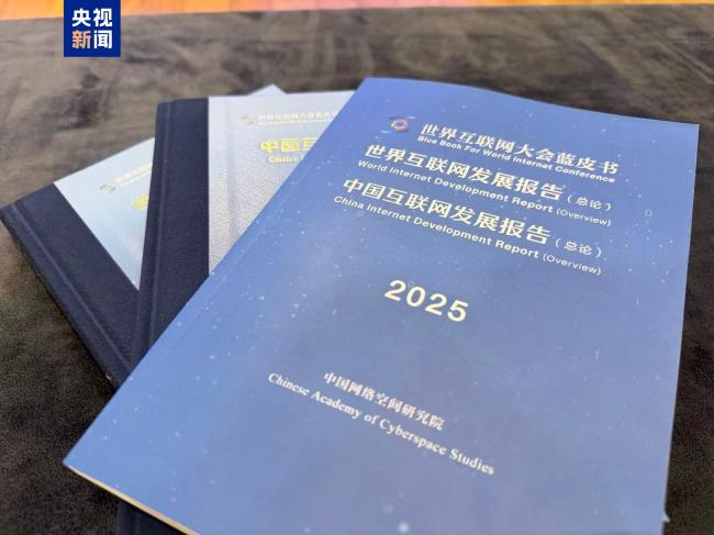 2025互聯網藍皮書發布:中國6G專利申請量全球第一