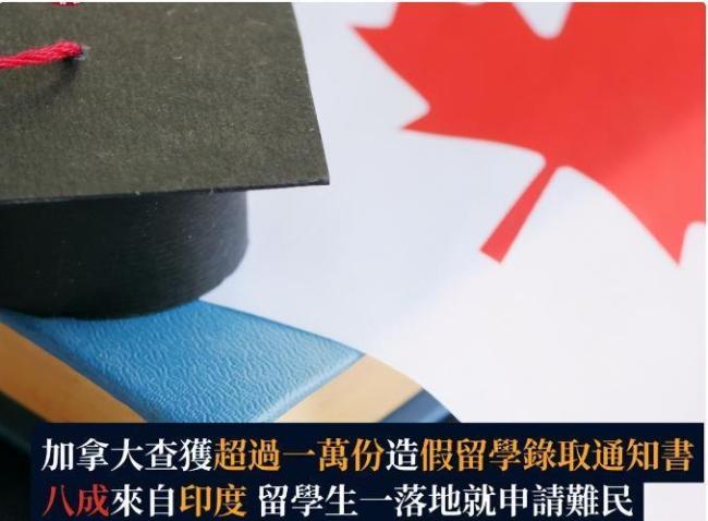 加拿大严打印度留学签 信任破产引发政策收紧