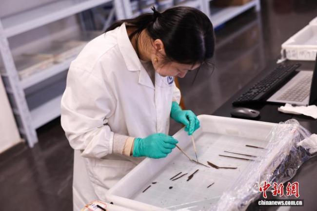 海昏侯墓发现秦汉时期全本诗经