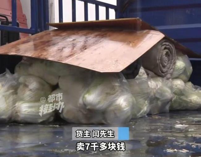 货车司机拉30多吨白菜被欠9500运费 货主赖账引争议