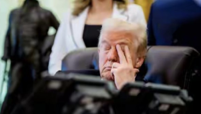 美总统开会时睡着