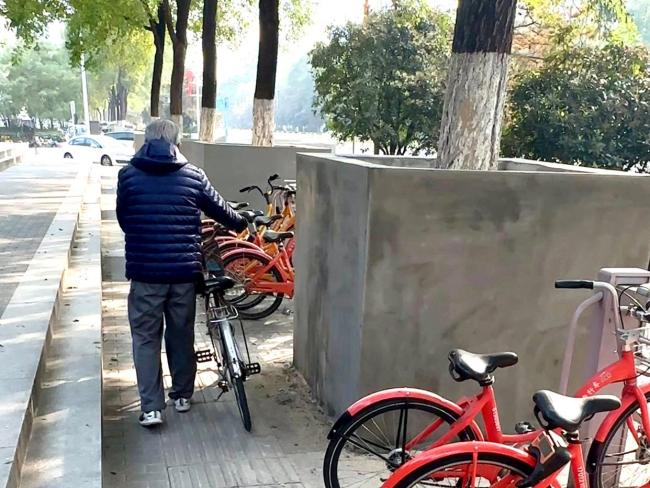 西安路边水泥树池已完工 市民热议树池设计