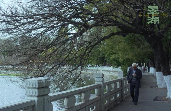 电影《翠湖》再次获奖 云南电影荣光再现