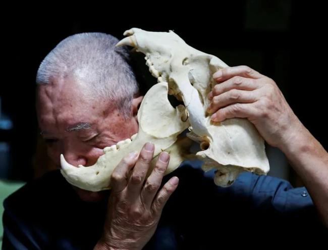 日本发熊难财？猎熊旅游狂捞金