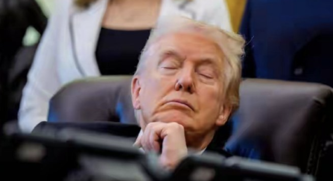 美总统开会时睡着