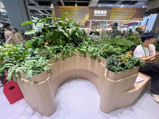 何为进博|消费新图景,正从四叶草“溢出” 引领消费新时代