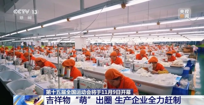 全运会吉祥物活力出圈 萌宠成新晋顶流