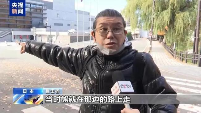 日本发熊难财？猎熊旅游狂捞金