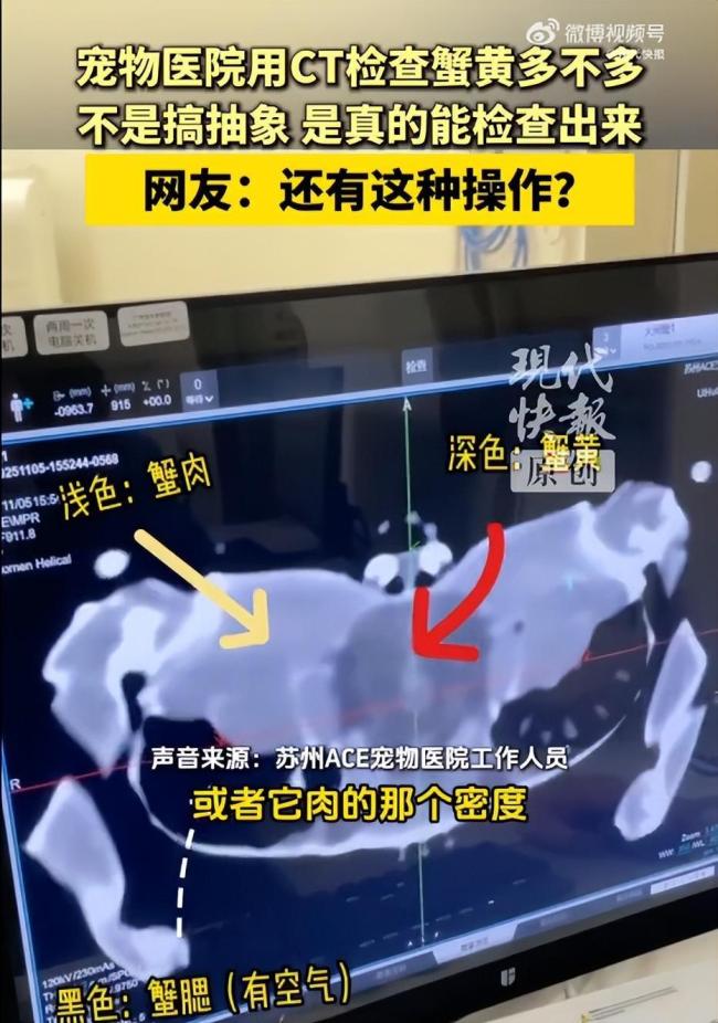 蟹黄多不多都用CT检查了 宠物医院扫描大闸蟹引发关注
