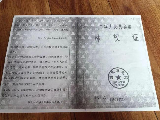 农户响应号召种树 成材后被禁止采伐 二十余载心血付诸东流