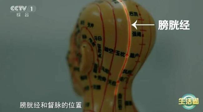 做好这4件事 帮你养出一头健康秀发