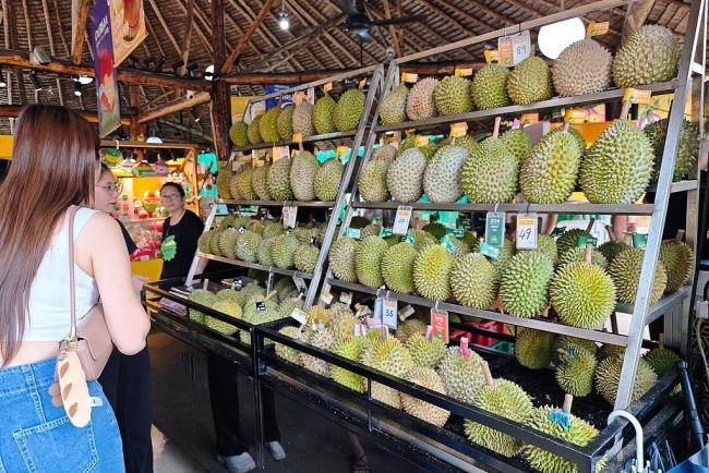 马来西亚呼吁提升榴莲国果地位，推动产业文化