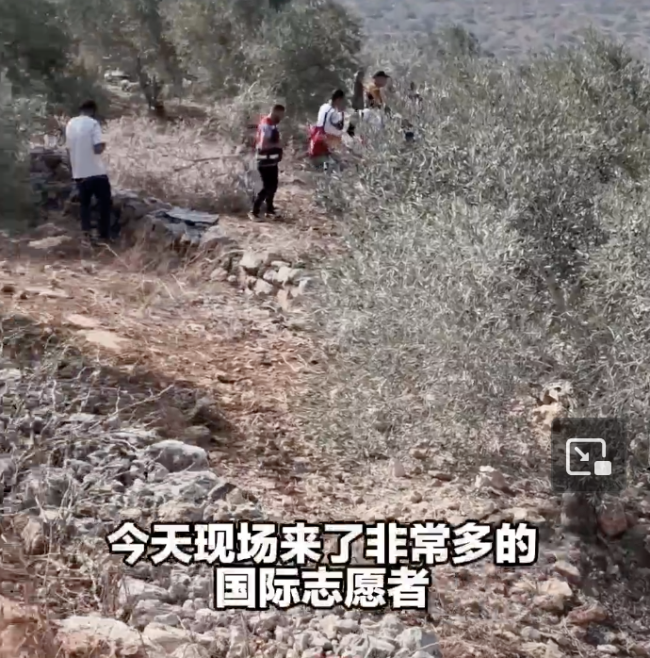 以定居者向巴农民疯狂投掷石块