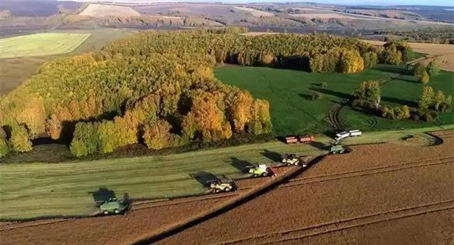 加拿大寻求改善对华贸易关系 经济现实与战略考量交织