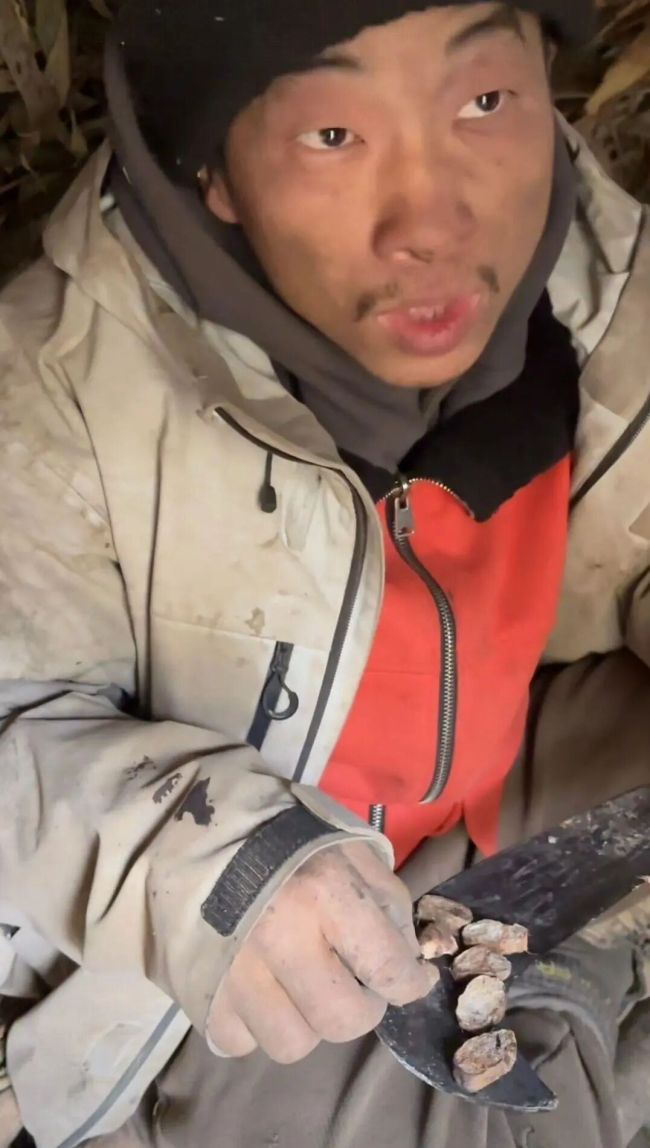 张家界荒野求生选手误食毒草 3秒毒性发作险酿大祸