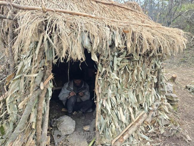 张家界荒野求生赛“蜜蜂哥”连日腹泻