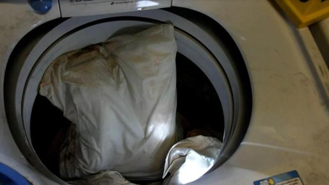 美华裔医师被灭门案9年后尘埃落定：凶手谎称患癌博同情，留宿时图财杀人，被判终身监禁