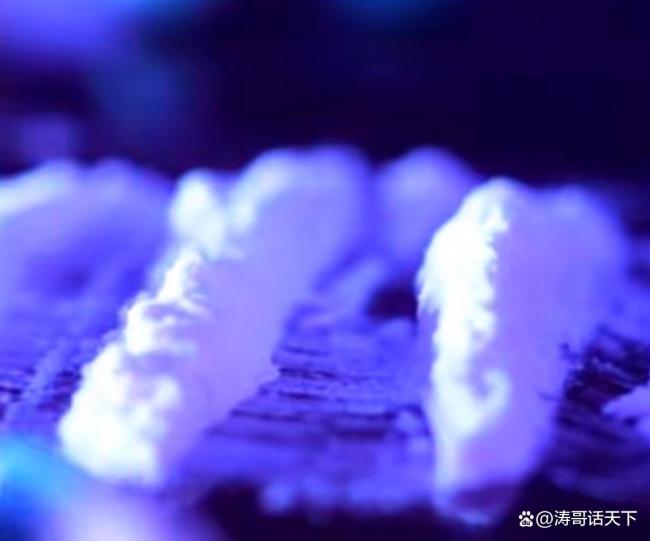 21岁大学生帮人跨省取快递被判无期 高额报酬背后的陷阱