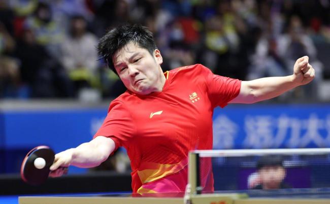 邓亚萍祝贺樊振东蝉联全运会男单金牌 王者归来再展雄风