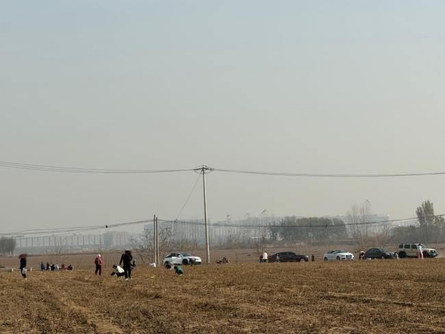 京郊能免费捡菜为假消息 博主发帖引误导