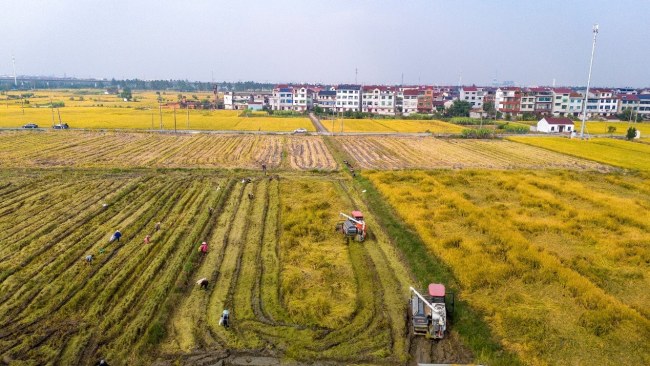 圖片6.jpg 第一視點丨以自主創(chuàng)新塑造發(fā)展新優(yōu)勢