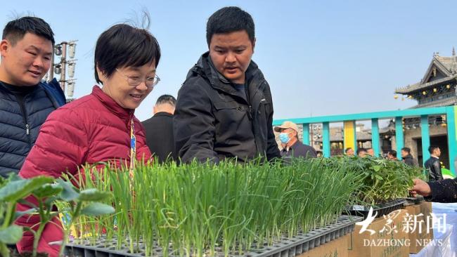 2025章丘大葱丰收季启动 科技赋能品牌保护