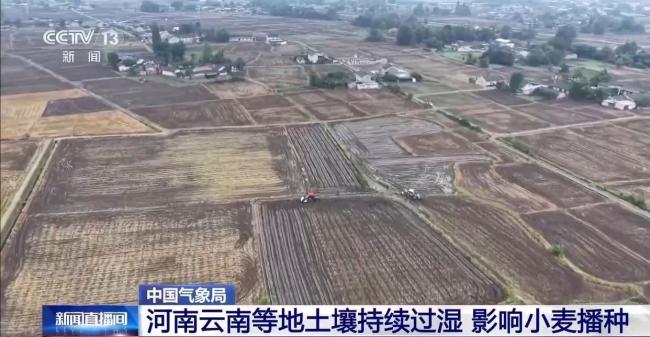 寒潮“拍了拍”南方 露地果蔬面临冻害风险