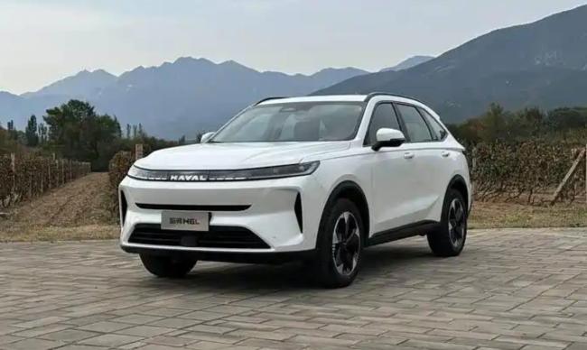 哈弗H6L上市售11.79万元起 中型SUV新选择