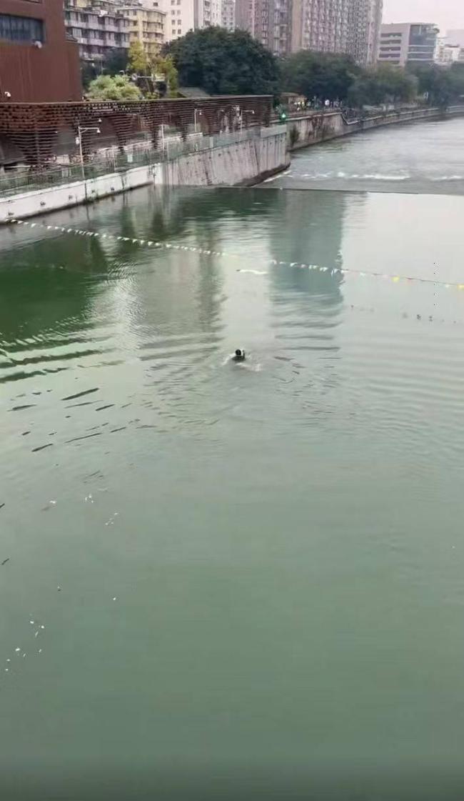 对话成都九眼桥跳河救人小哥 本能驱使勇救两人