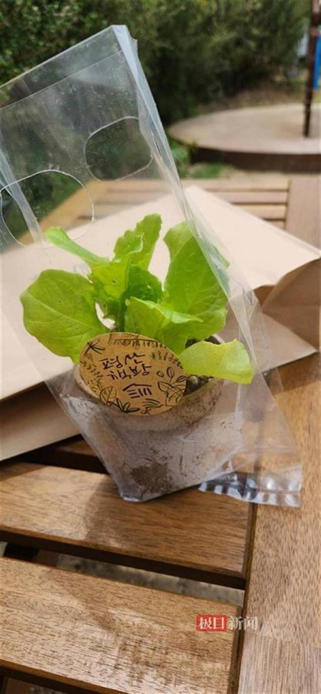 韩国前总统退休后当网红：文在寅开频道推荐书籍，专为青少年发声