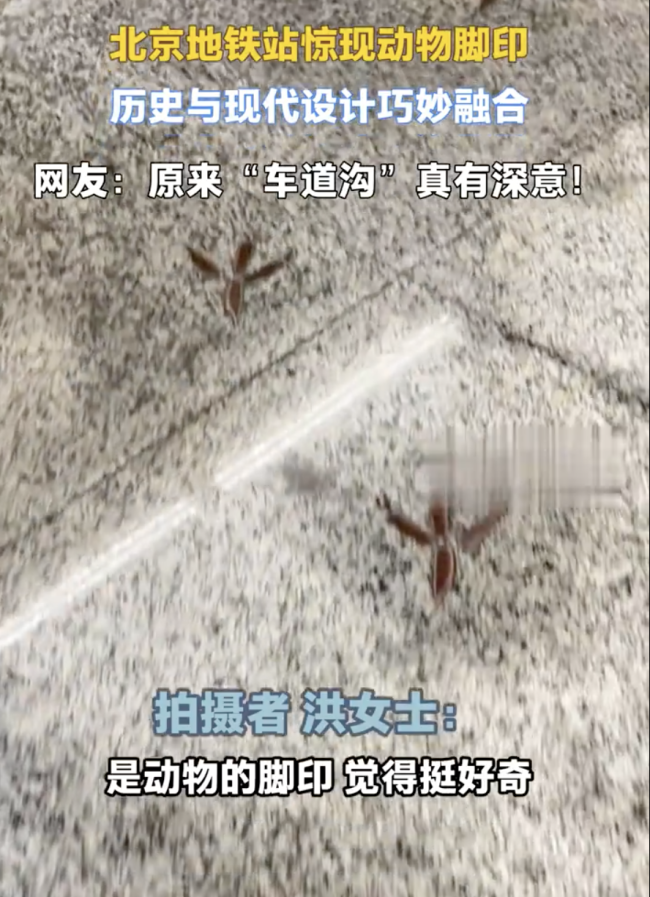 北京地铁站惊现动物脚印