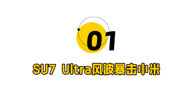 小米集团法务“背刺”雷军 IP与品牌平衡难题