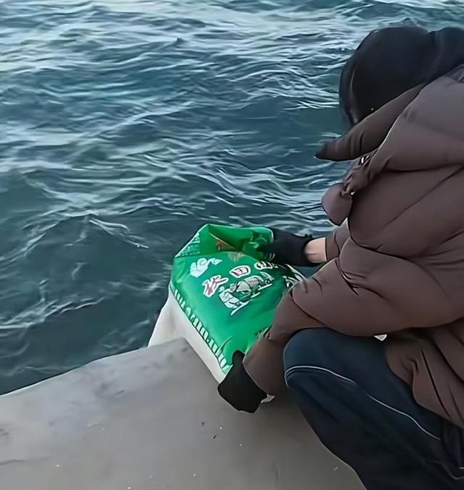 辽宁多人疑往海里放生大米