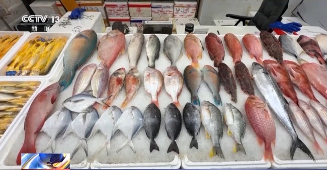 民間埋怨 多國批判 高市錯誤言論陷四麵楚歌