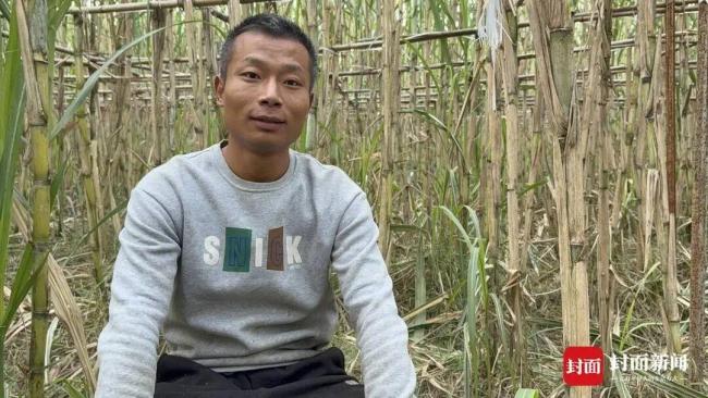 9.9元偷甘蔗老板日入近万 创意活动引爆客流