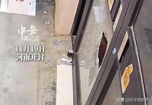 多名少年“夜袭”便利店 店主报警 涉案金额虽小但行为恶劣
