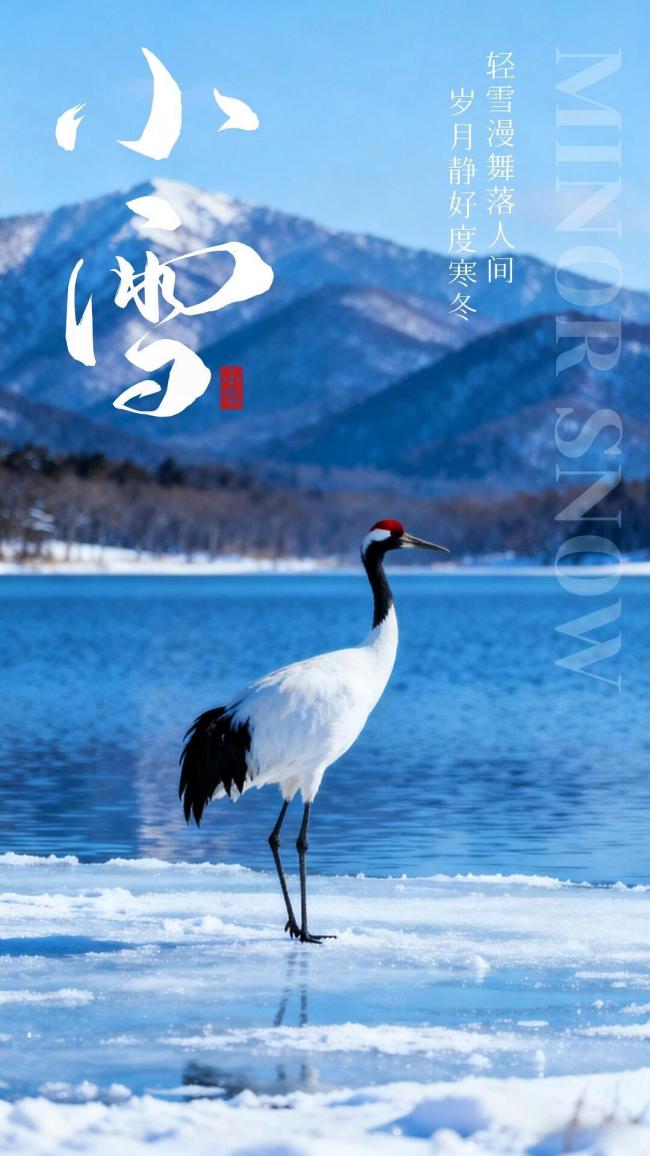 小雪时节看冬的诗意 雪色温柔倔强